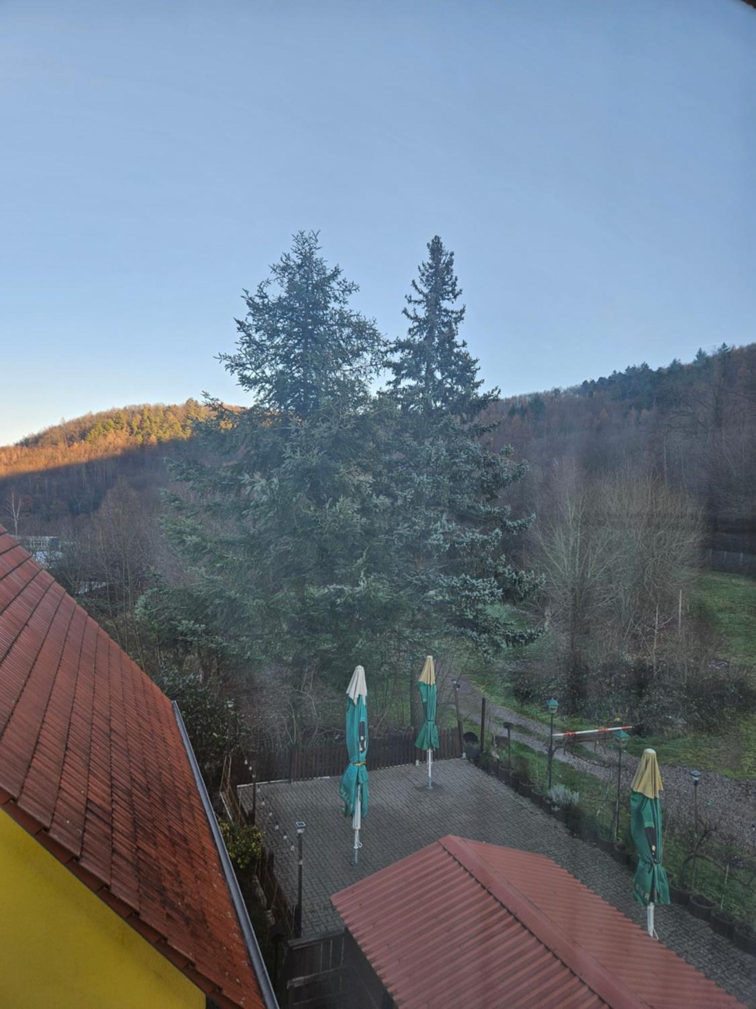 Naturfreundehaus Анвайлер ам Трифелс Екстериор снимка